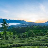 500萬噸/年！湖北儲量約1.12億噸建筑用花崗巖礦擬掛牌出讓